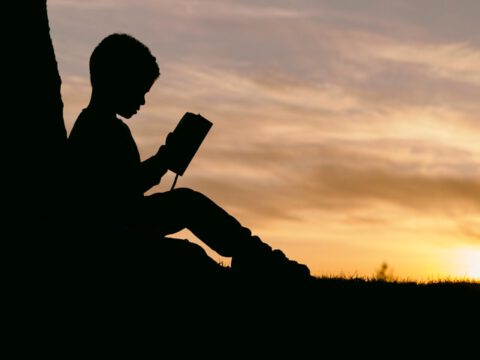 „The ultimate in the novel“