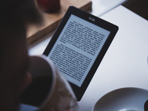 Das Gedächtnis der Literatur