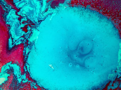 Faszinosum des Abstrakten und Enigmatischen