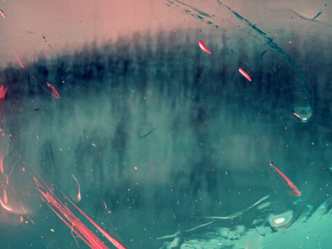 Auf der Suche zwischen Leben und Tod