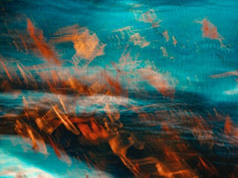 Engagiert – mit gesellschaftlichem Sendungsbewusstsein